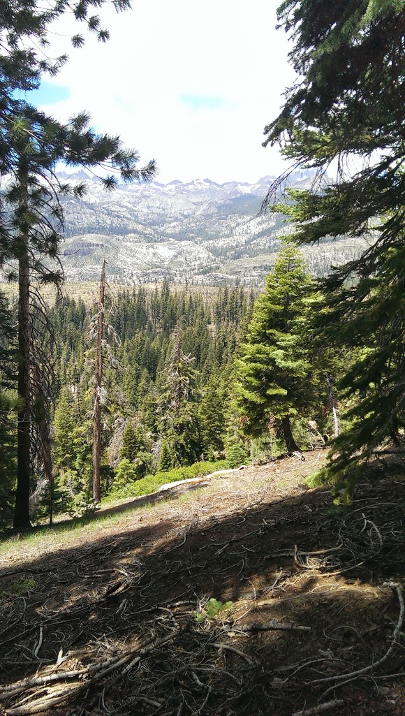 View from the John Muir Trail